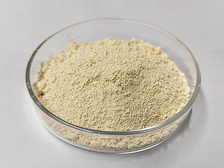 熔融氧化鋯粉末 2